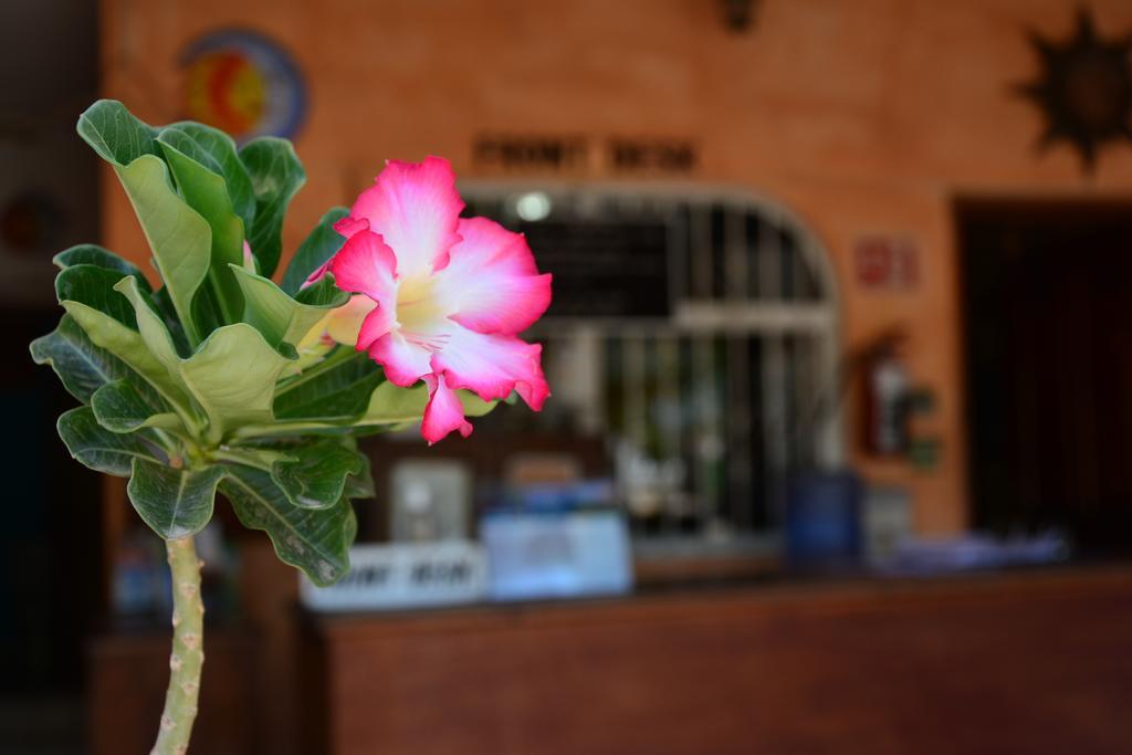 Hotel Posada Luna Sol La Paz Exterior foto